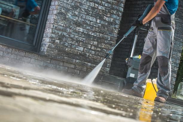 Best Driveway Cleaning and Restoration in East Dundee, IL
